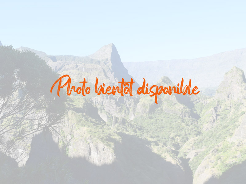 AU DOUX TAMARIN DES HAUTS