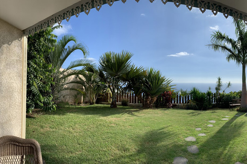 Leu Bleu Austral