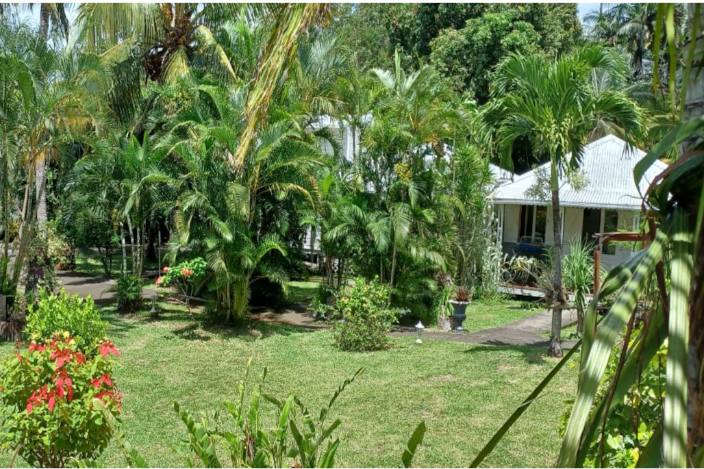 LES BUNGALOWS DE LA CAROLINE